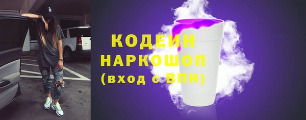 прущие грибы Корсаков